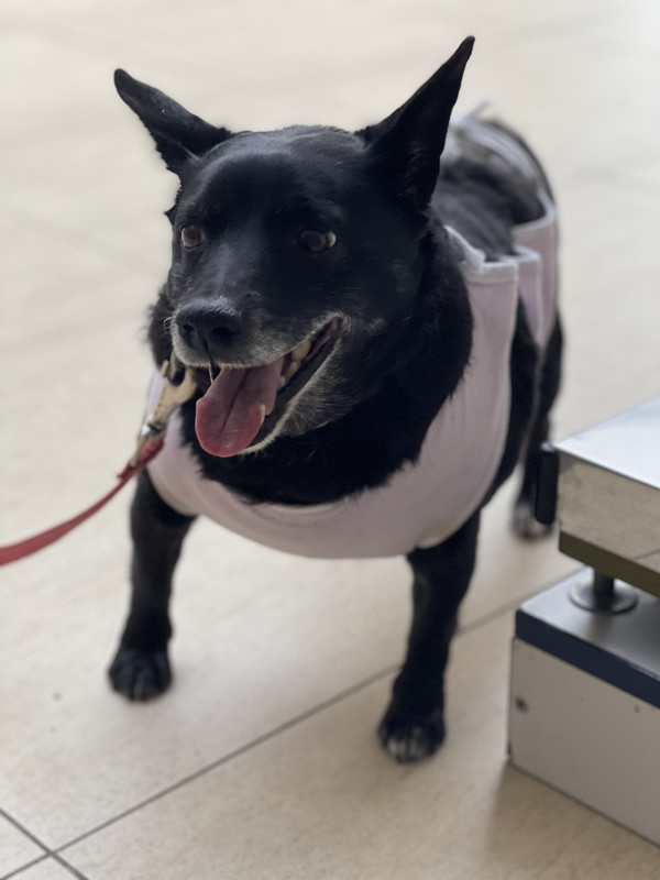 F52D412E-0024-4D7F-A431-C9961BD09B07