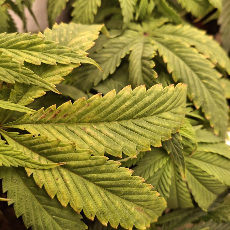 Whats App Image 2026 01 06 at 09 04 05