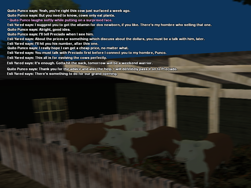 SS31b.png