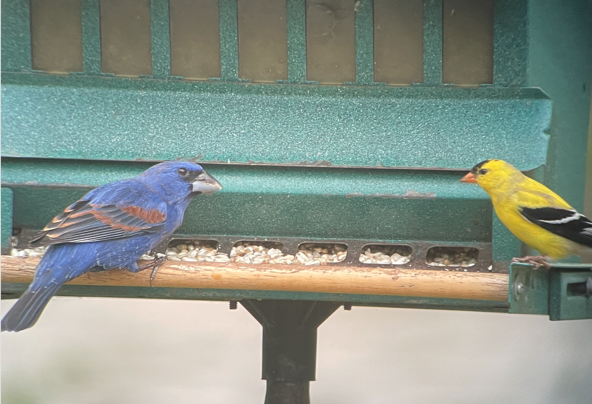 Screenshot 2025-04-22 at 6.44.56 PM