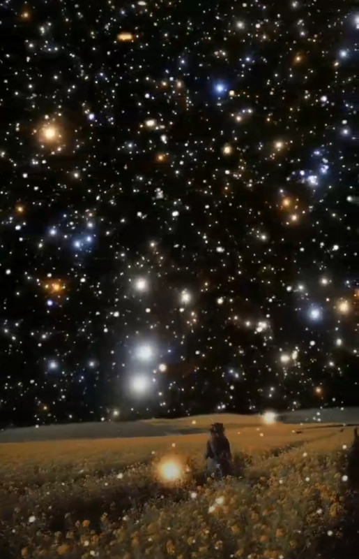 Screenshot_20240325_232957_Pinterest