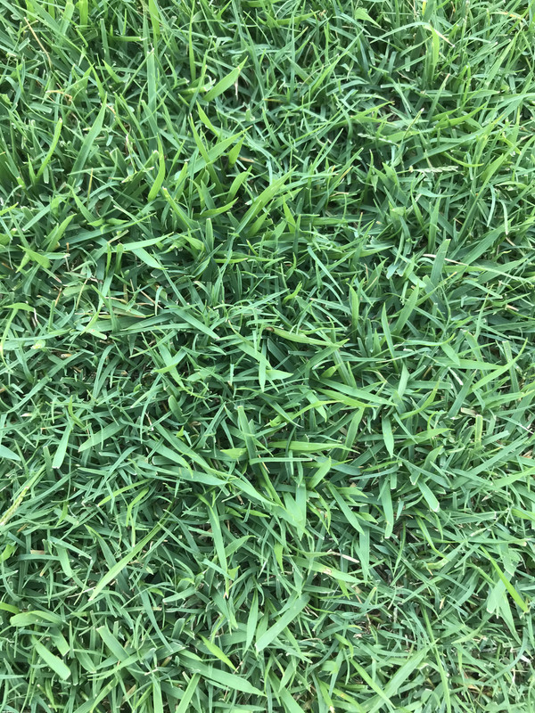 DAD37AD3-8F0C-4DE8-8176-D91A798B49A1