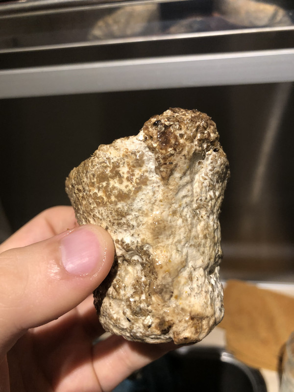 C4360BD1-EE27-4D63-BAB2-87158CACD5FD