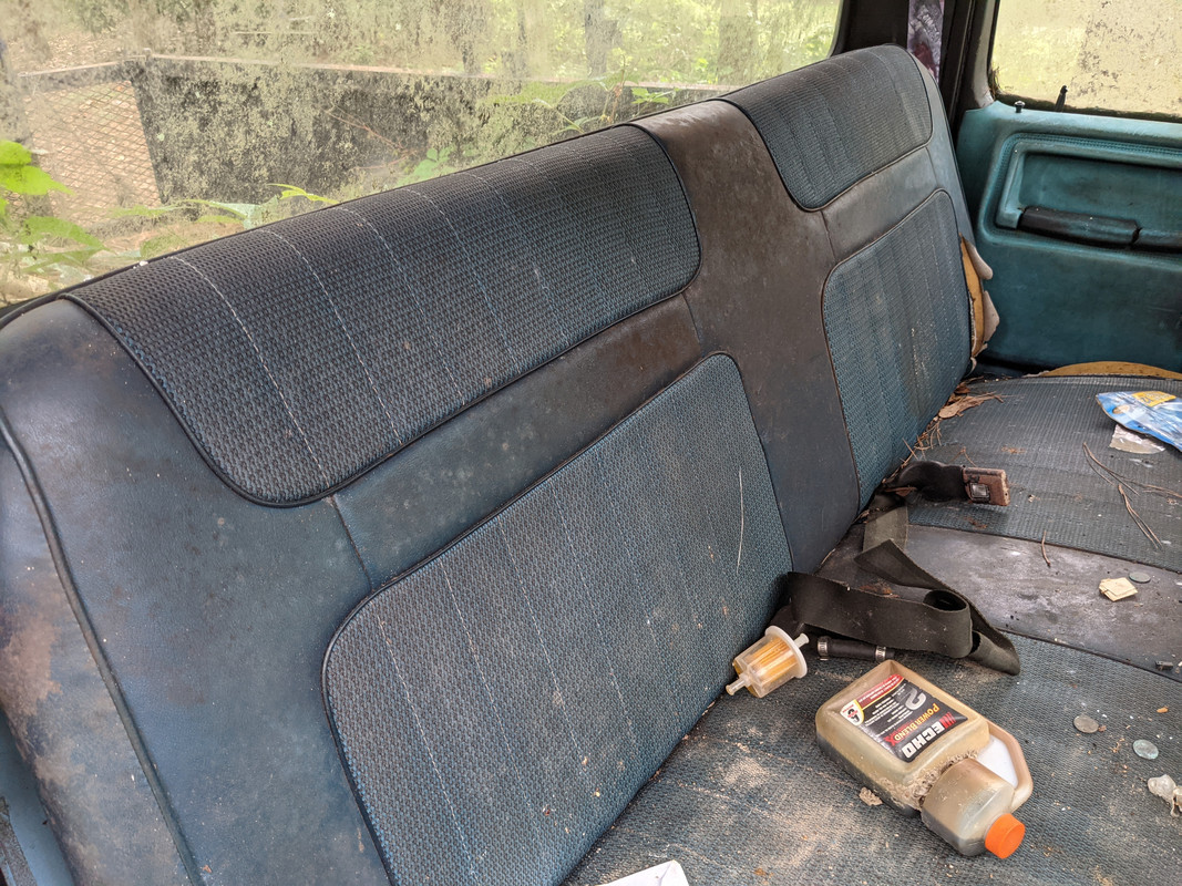 PXL_20210512_220135317