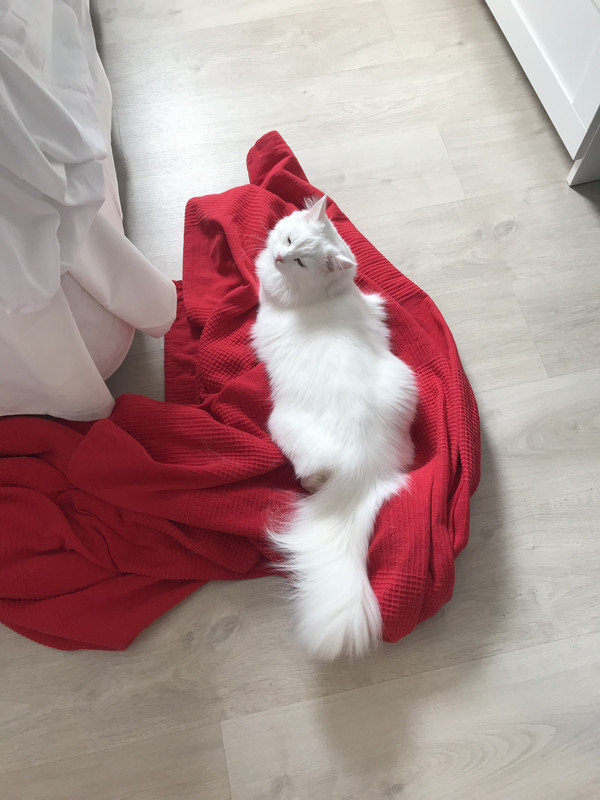 A4716556-398A-4D63-8CA4-9011E4832333