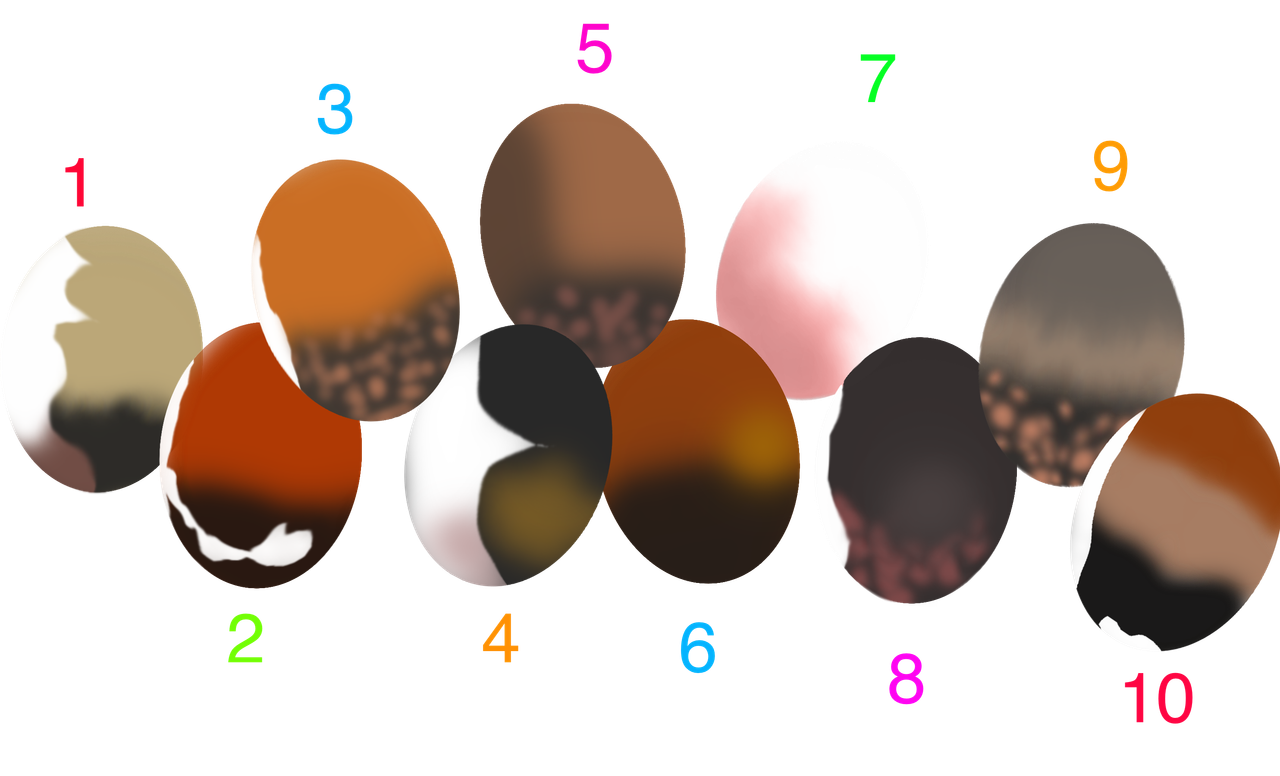 2024-Eggs1.png