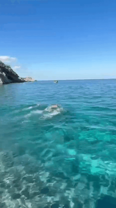 VID-20251006-WA0004~2(1)