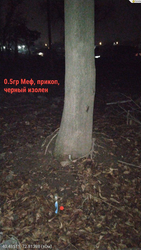 photo 5 2025 12 24 19 50 26