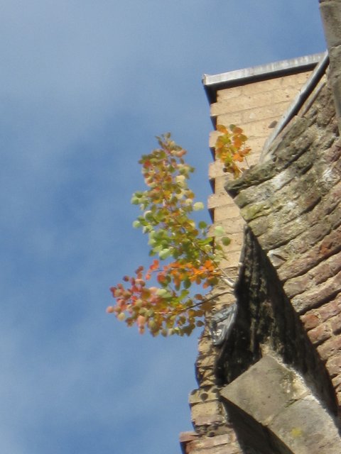 IMG_3890.jpg