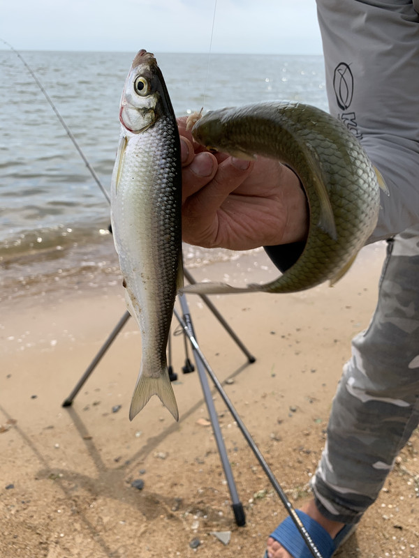 DA8820D7-5CB9-4DA3-9118-CB8ED9839512