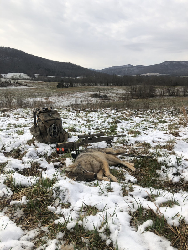 02D49283-52CC-4595-B650-45144599DCC7