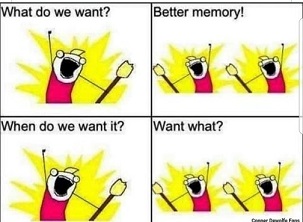 NAH-poster-What-do-we-want-better-Memory.jpg