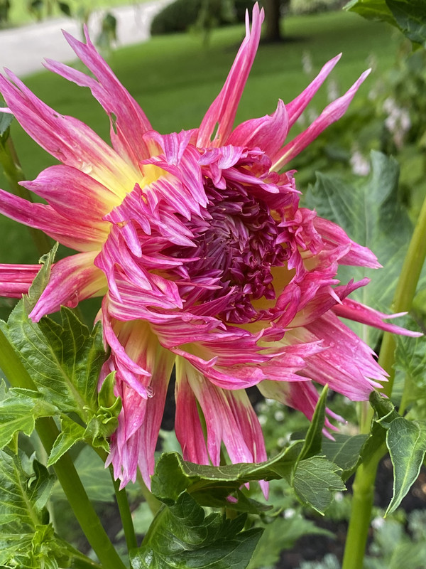 AF37977C-BEE5-41DC-9081-F9E6DD5FC291