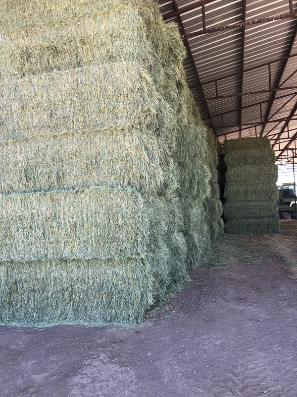 6889F81F-A36D-4308-85B2-2C83AFA89E16