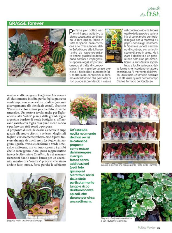 Pol Ver Mag 2023 (4)