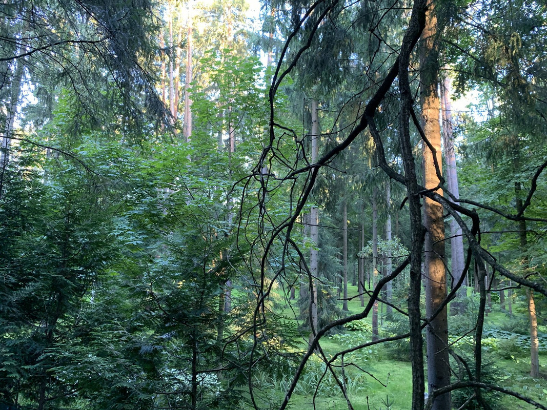 94EFF452-1E5E-43A0-8C4E-5E76AF0A51F0