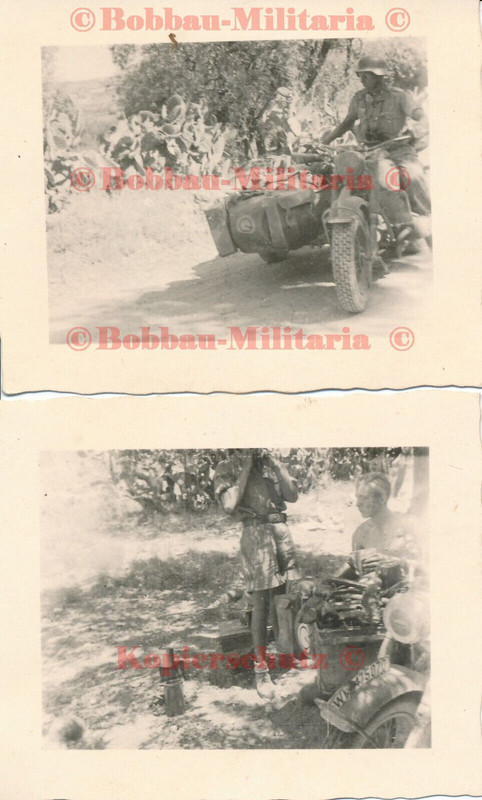 C256 Italien Messina Fallschirm-Panzer-Div. HG schw.BMW Motorrad Zündapp Emblem