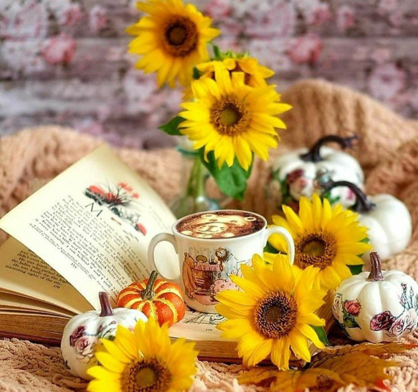 Screenshot_20230211_150653_Chrome