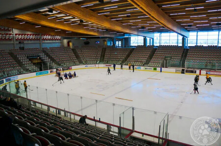 Winsport-Arena.jpg