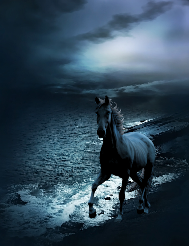 074451-AD-61-ED-4394-A57-D-4-FDAA0-A8-B9-DD.png