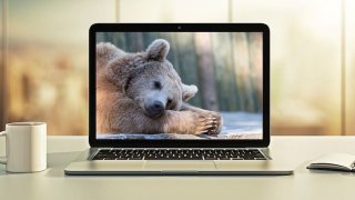 Hibernate Advanced Development Techniques