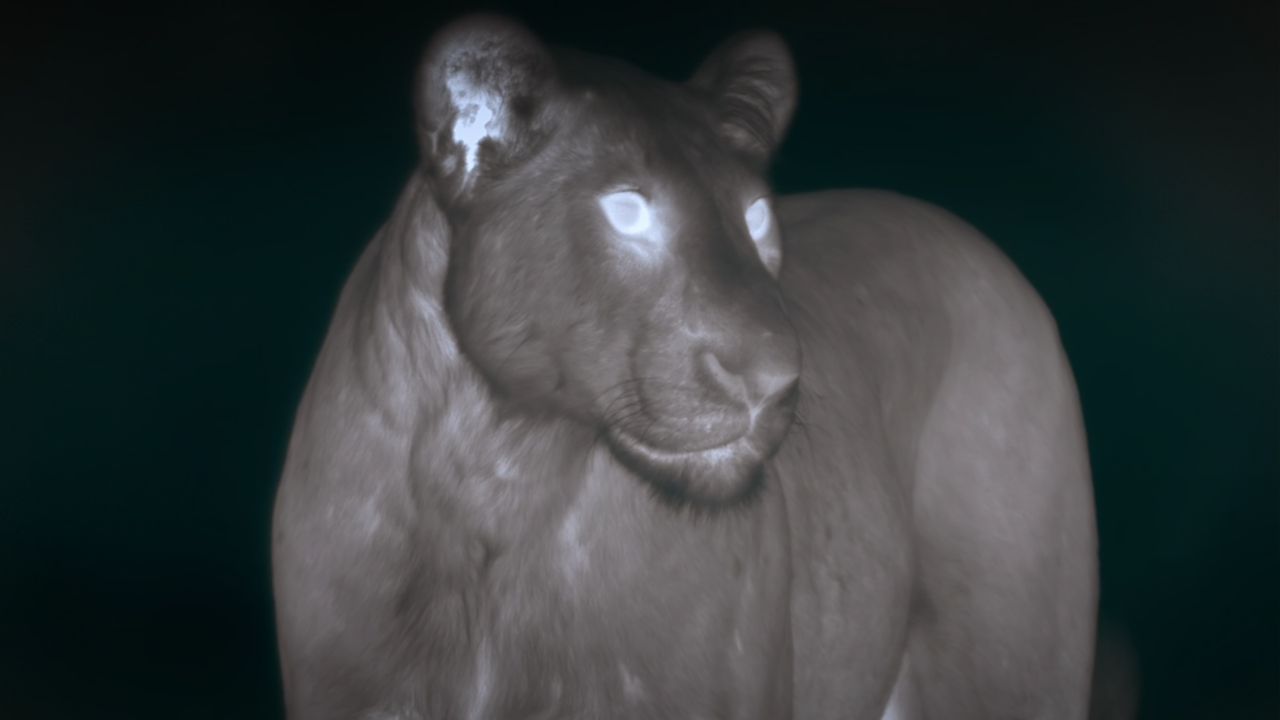 Night On Earth (2020) S01 1080p NF Webrip x265 10bit EAC3 5.1 - Ainz