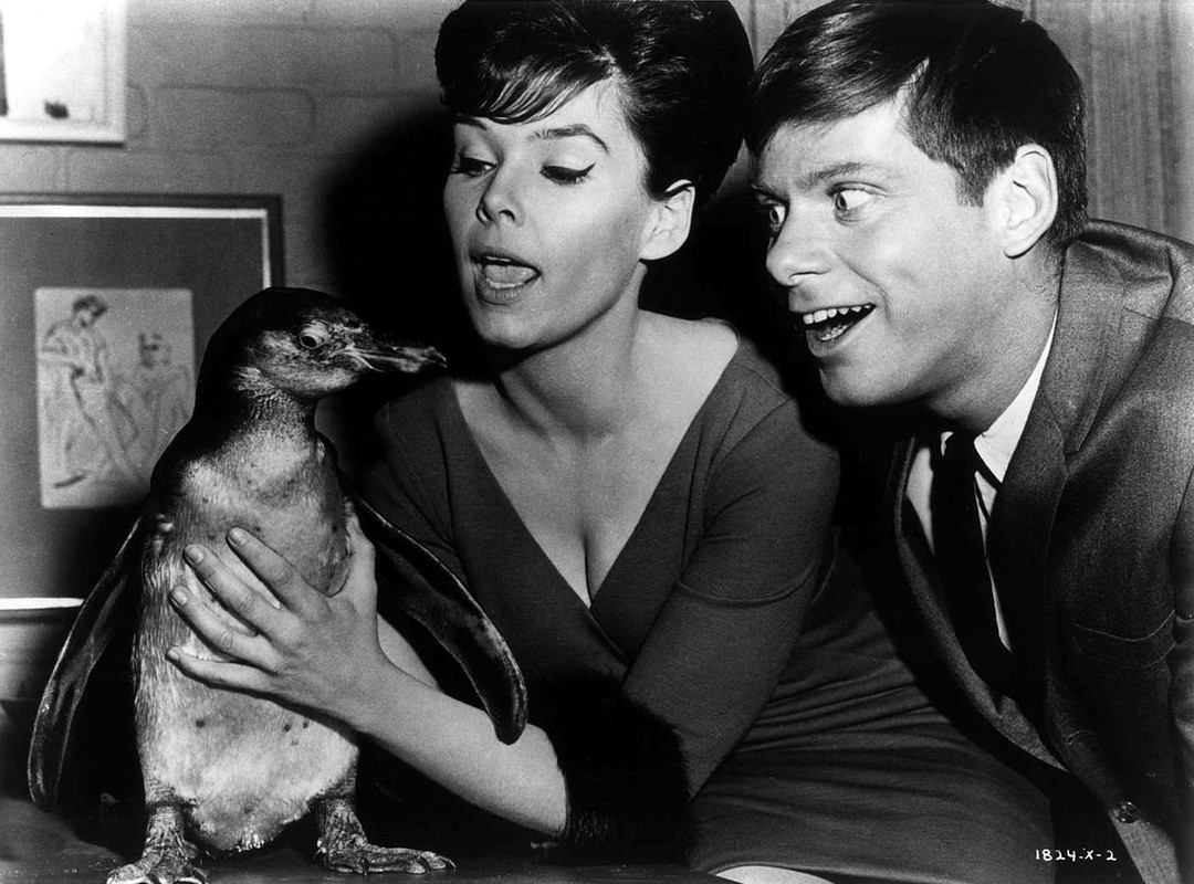 yvonne_craig_080