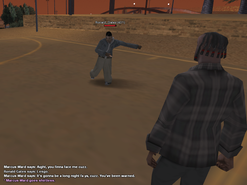 ss14.png
