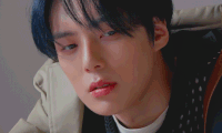 https://i.postimg.cc/7ZV74wJ6/2.gif