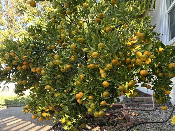 [Image: IMG-1667.jpg]