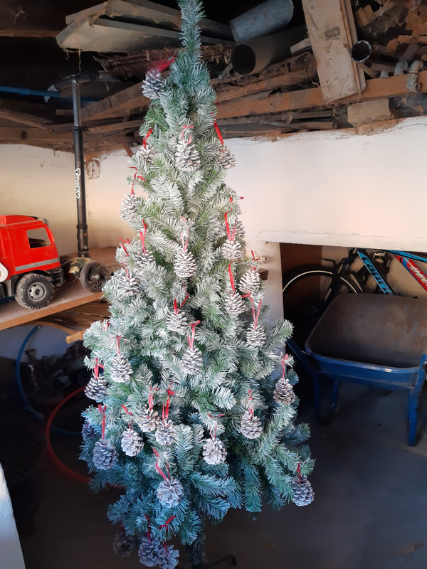 IMG_20211116_150332761