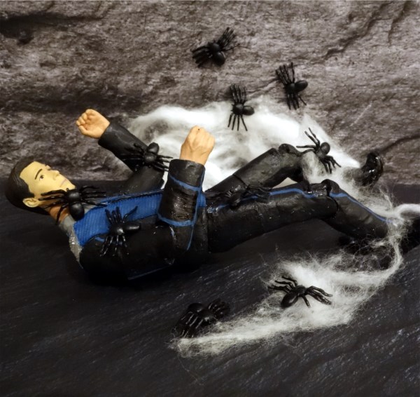 Spiders