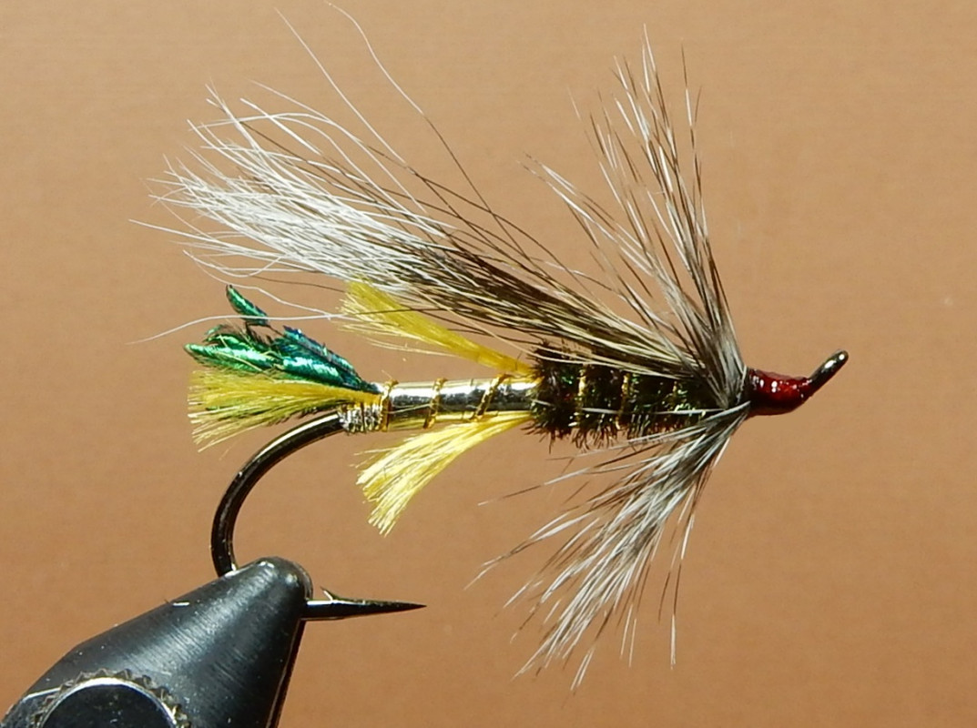 King-Rat-1080.jpg