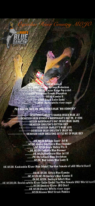 67E933B1-3B85-4126-8D53-1FF8D6311482