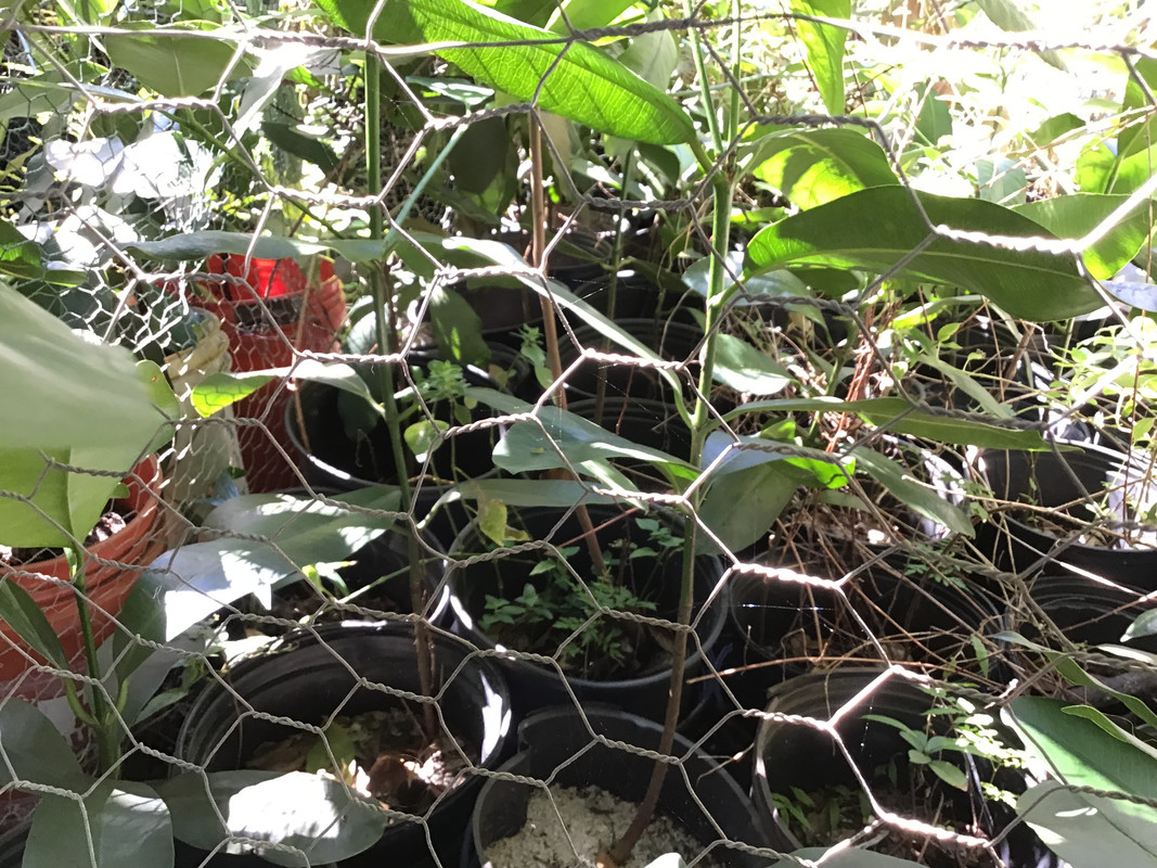 C4746D8D-A71A-464B-AA90-66E1E58BE431