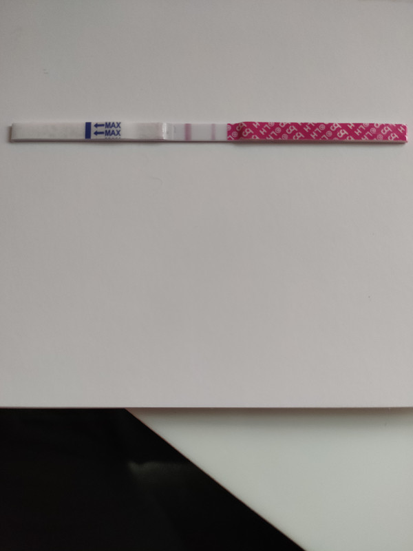 16196779193934184710221255677098