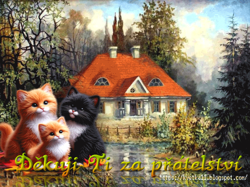 Dekuji-Ti-za-pratelstvi.gif