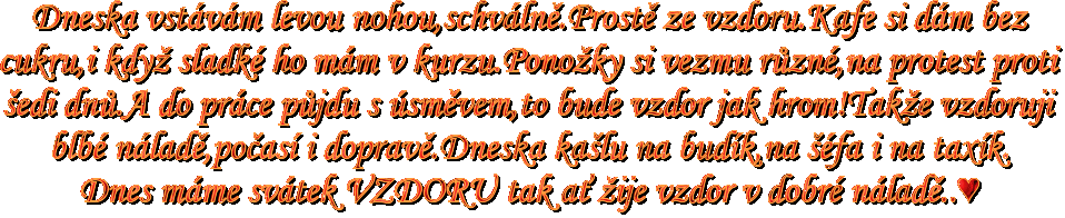 textdnes
