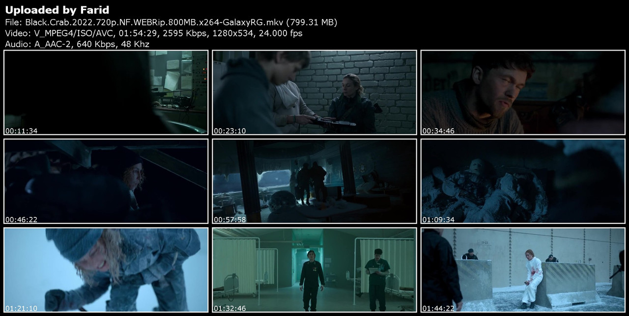 Black-Crab-2022-720p-NF-WEBRip-800-MB-x264-Galaxy-RGTGx.jpg