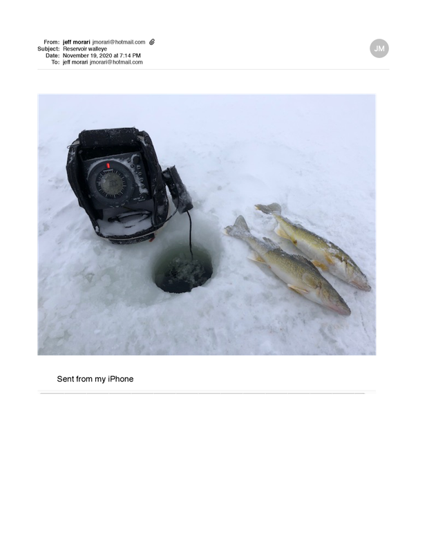 Reservoir walleye