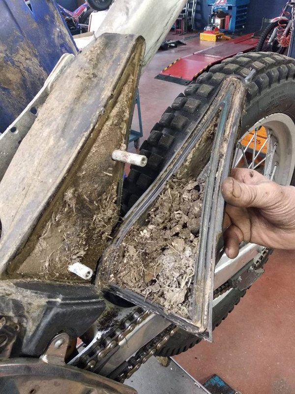 51777830_1954051588235991_8391886026414489600_n