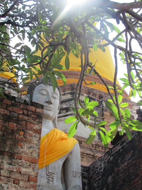 Visita a por libre a Ayutthaya - Nuestra primera vez en el Sudeste Asiático. Tailandia en Junio de 2018 (23)