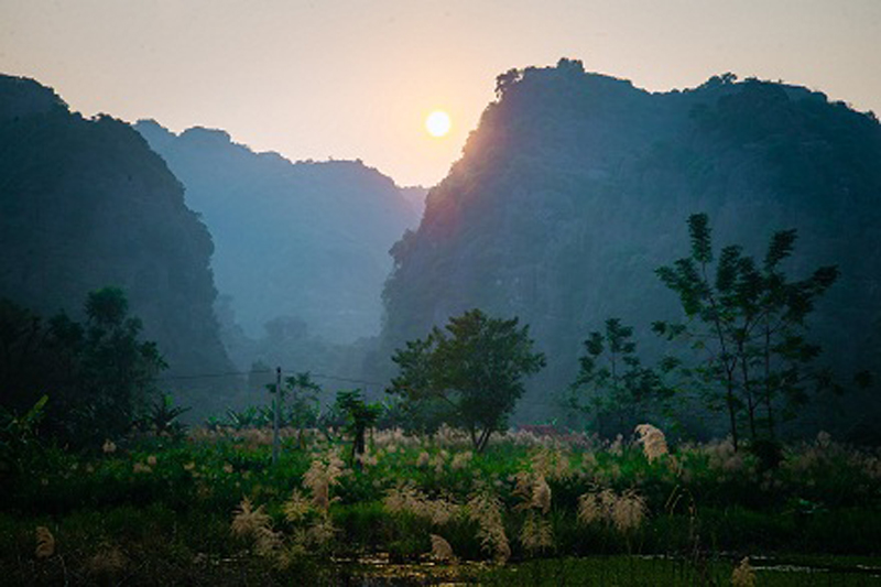 [Image: mua-lau-trang-trang-an-2.jpg]