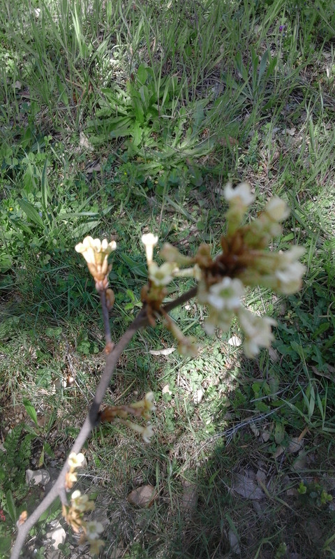 20170401_142109 (1)