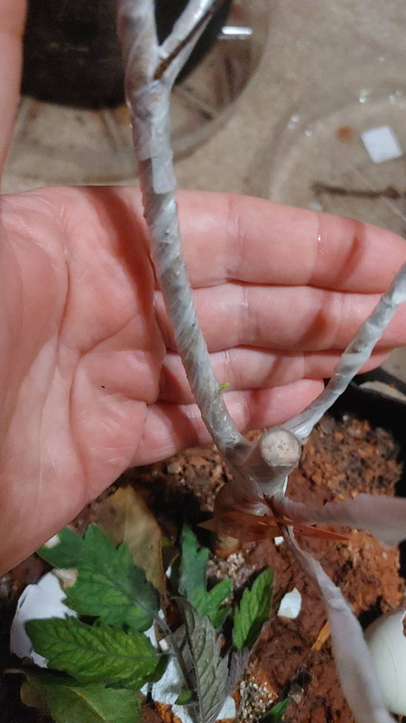 signal-2023-03-21-07-51-11-578