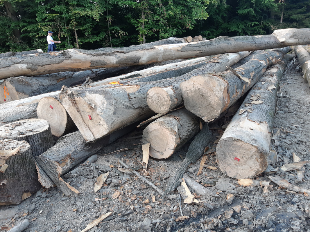 09.09b - 20220616_174053 (PiTT)