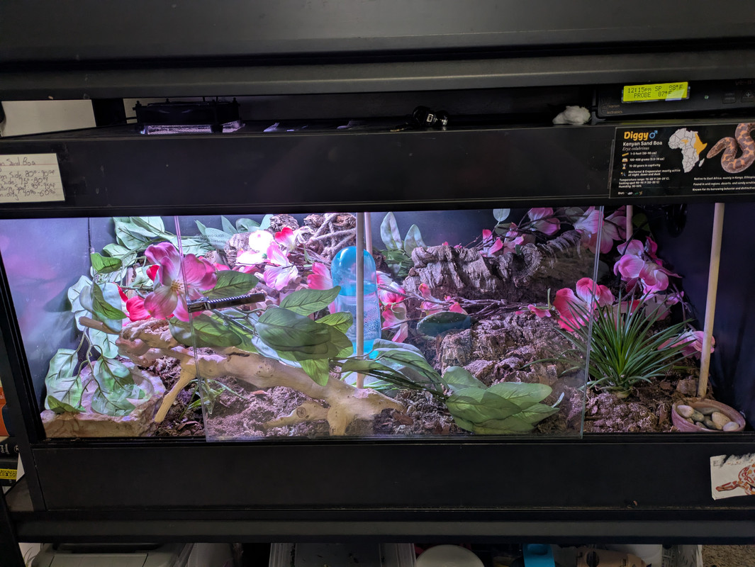 PXL 20251105 212750923