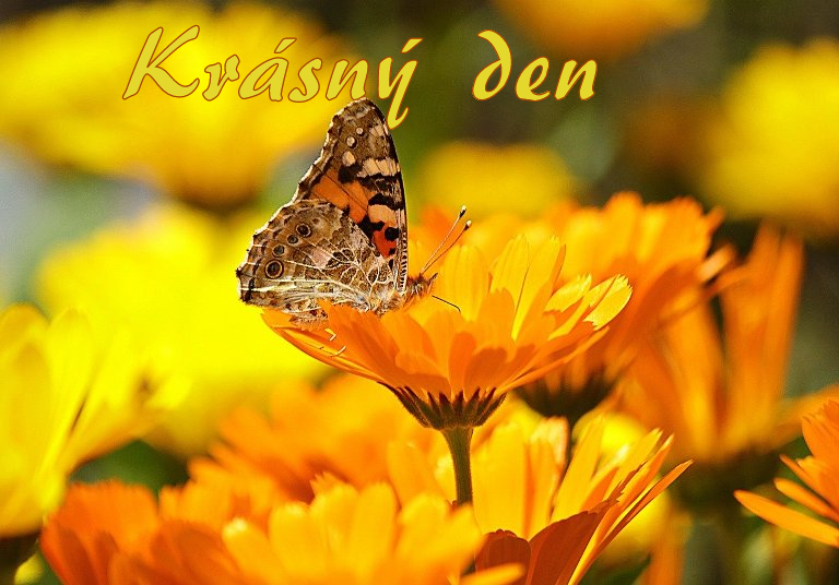 DE4C