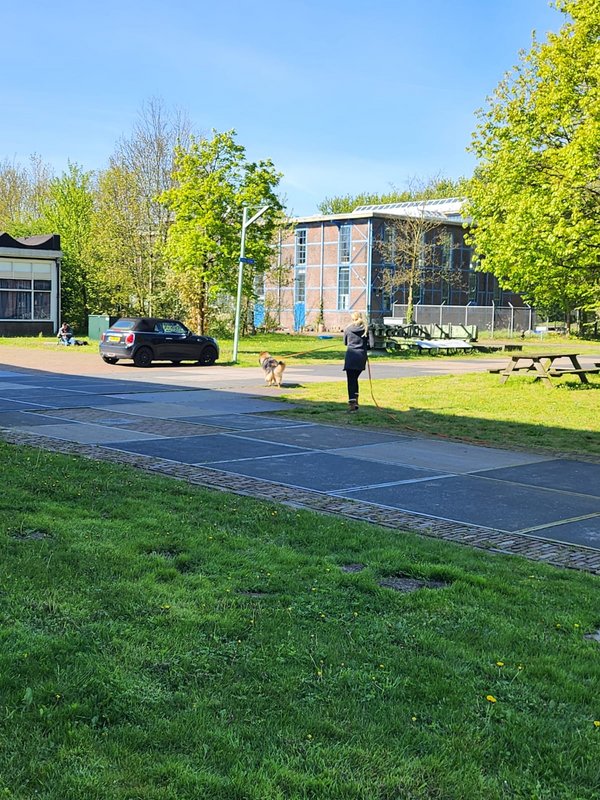 Afbeelding