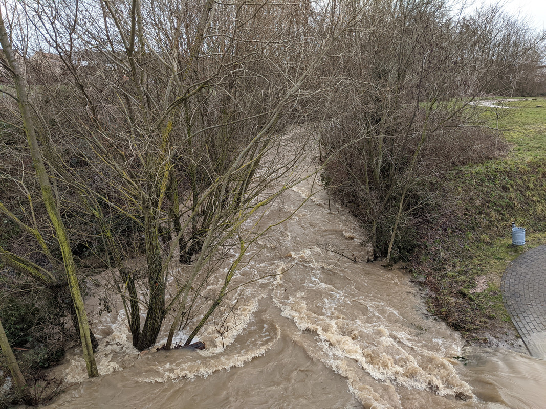 PXL_20210129_120724108